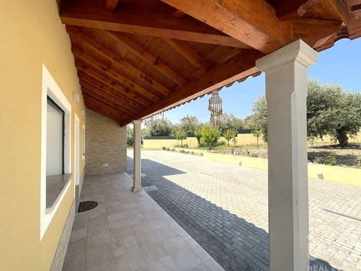 Maison de luxe à vendre à Tomar, 677 000 €, Photo 3