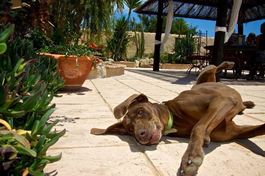 Luxury House for sale in Benissa, 1 399 994 €, Photo 4