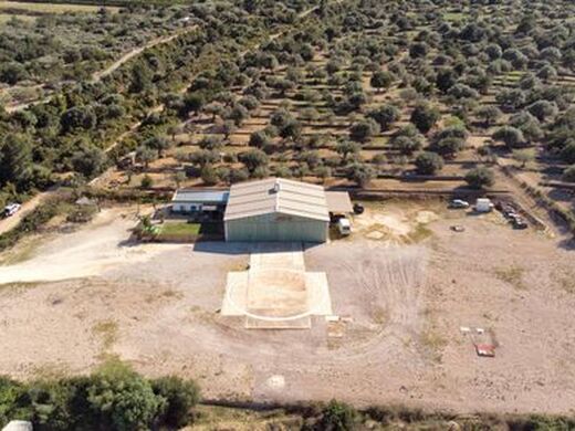 Maison de luxe à vendre à Amposta, 600 000 €, Photo 2