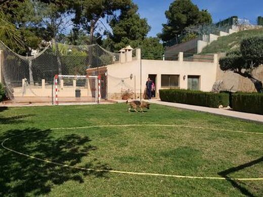Maison de luxe à vendre à Elche, 600 000 €, Photo 4