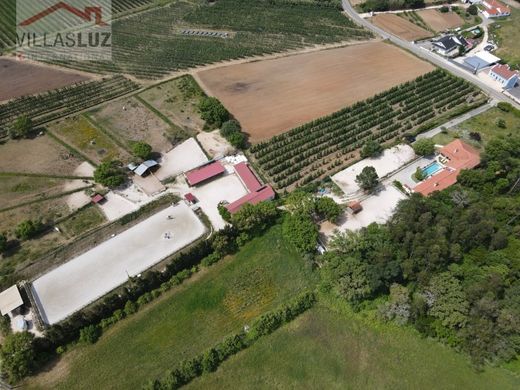 Maison de luxe à vendre à Alcobaça, 875 000 €, Photo 3