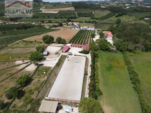 Maison de luxe à vendre à Alcobaça, 875 000 €, Photo 5