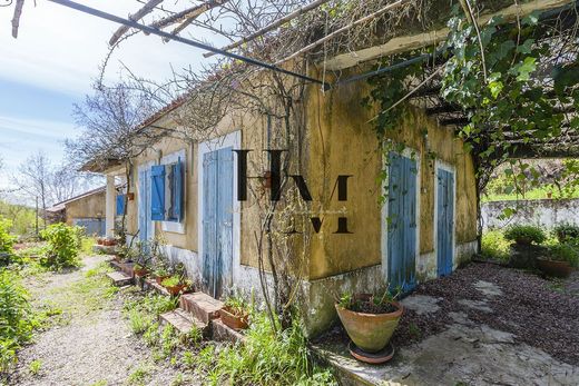 Maison de luxe à vendre à Azambuja, 495 000 €, Photo 2