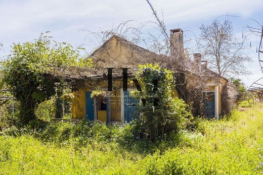 Maison de luxe à vendre à Azambuja, 495 000 €, Photo 3