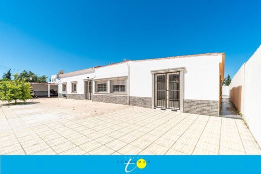 Maison de luxe à vendre à Torrevieja, 549 000 €, Photo 3