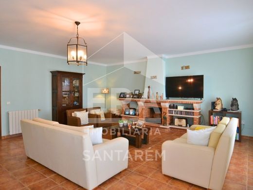 Maison de luxe à vendre à Cartaxo, 450 000 €, Photo 4