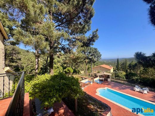 Maison de luxe à vendre à Lloret de Mar, 595 000 €, Photo 4