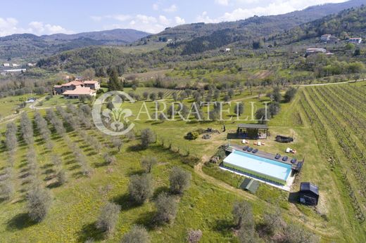 Maison de luxe à vendre à Pelago, 1 310 000 €, Photo 5