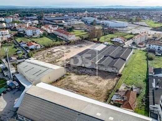 Maison de luxe à vendre à Juncal, 480 000 €, Photo 6