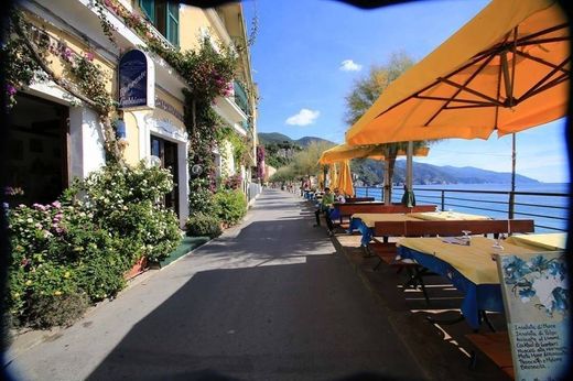 Appartement de luxe à vendre à Monterosso Al Mare, 470 000 €, Photo 3