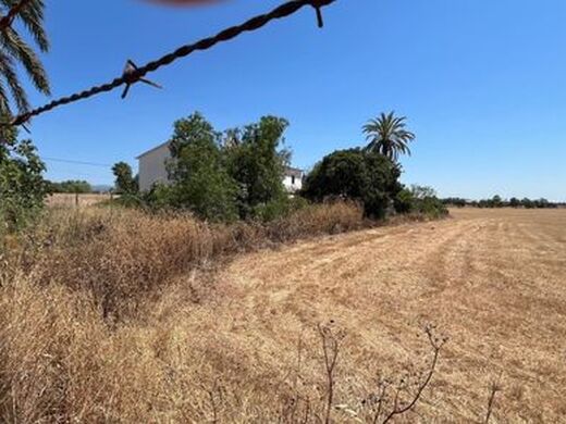 Maison de luxe à vendre à Palma, 1 400 000 €, Photo 5