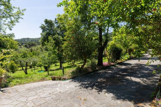 Luxury House for sale in Rosignano Marittimo, 1 200 000 €, Photo 3