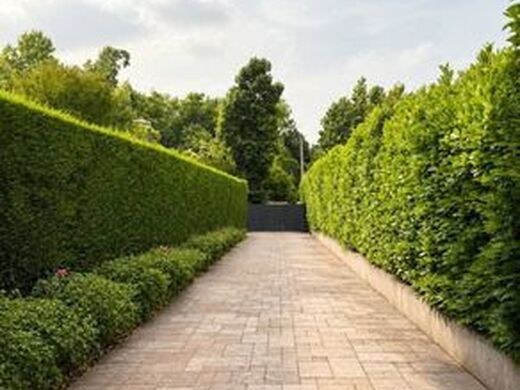 Luxury House for sale in Treviso, 1 750 000 €, Photo 3