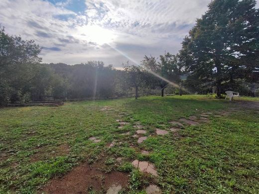 Maison de luxe à vendre à Scansano, 750 000 €, Photo 3