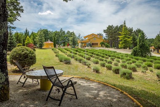Maison de luxe à vendre à Lušetici, 2 200 000 €, Photo 6