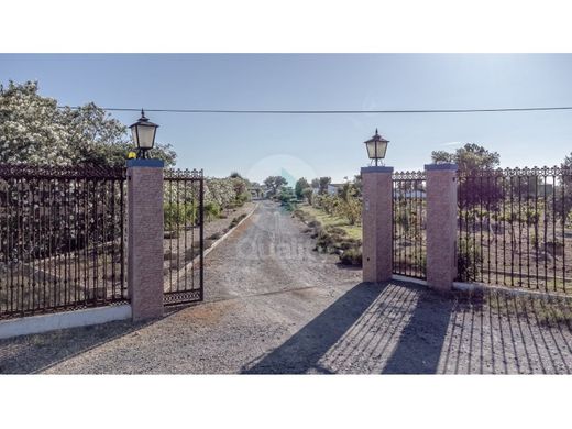 Maison de luxe à vendre à Ferreira Do Alentejo, 850 000 €, Photo 2