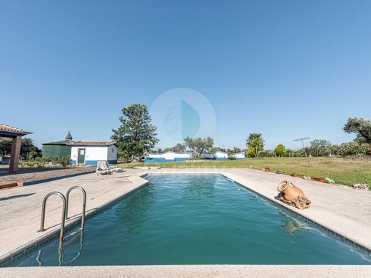 Maison de luxe à vendre à Ferreira Do Alentejo, 850 000 €, Photo 4