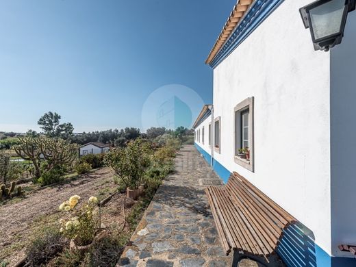 Maison de luxe à vendre à Ferreira Do Alentejo, 850 000 €, Photo 6