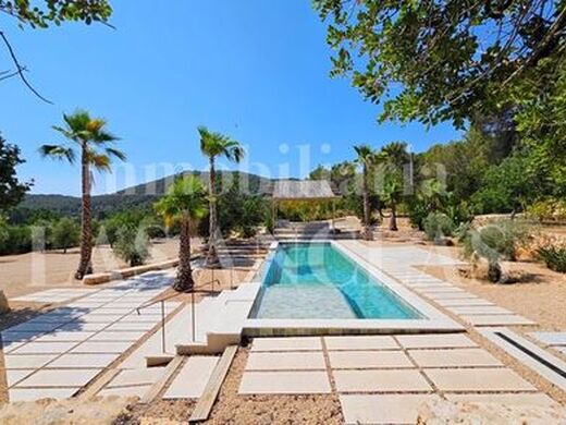 Maison de luxe à vendre à Sant Carles de Peralta, 8 750 000 €, Photo 3