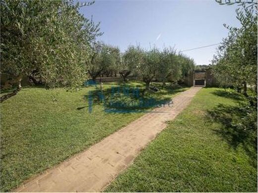 Maison de luxe à vendre à Montecastrilli, 680 000 €, Photo 6