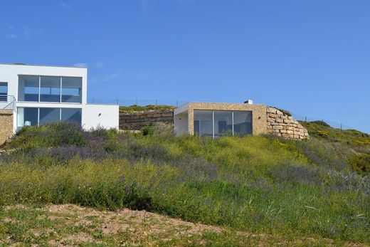 Maison de luxe à vendre à Alcobaça, 1 800 000 €, Photo 4