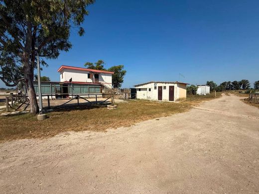 Maison de luxe à vendre à Fiumicino, 1 100 000 €, Photo 3