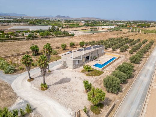 Maison de luxe à vendre à Elche, 850 000 €, Photo 4