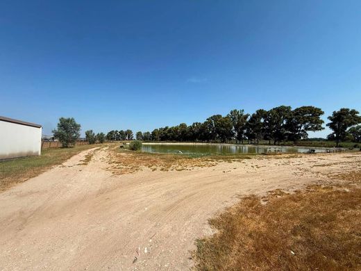 Maison de luxe à vendre à Fiumicino, 1 100 000 €, Photo 4