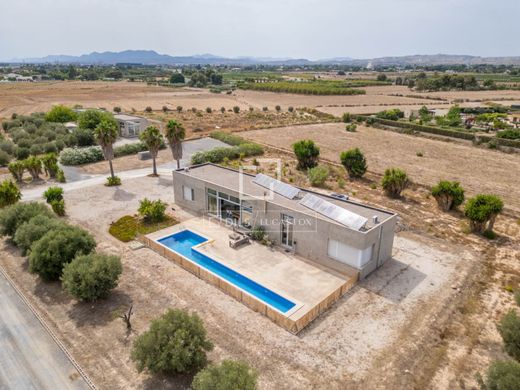 Maison de luxe à vendre à Elche, 850 000 €, Photo 5