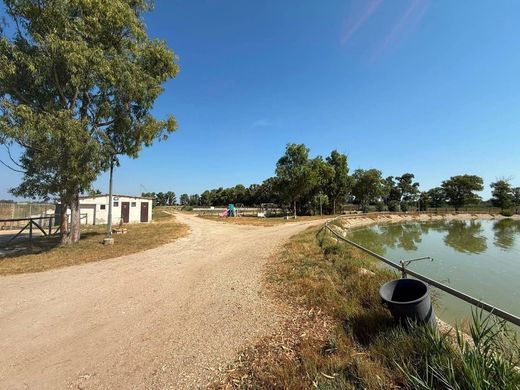 Maison de luxe à vendre à Fiumicino, 1 100 000 €, Photo 5