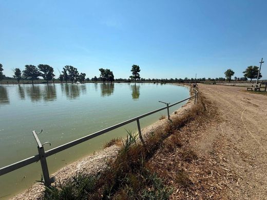 Maison de luxe à vendre à Fiumicino, 1 100 000 €, Photo 6