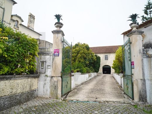 Maison de luxe à vendre à Alcanena, 1 000 000 €, Photo 6