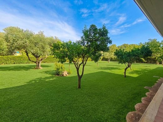 Maison de luxe à vendre à Latina, 675 000 €, Photo 7