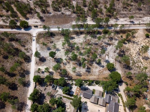 Maison de luxe à vendre à Comporta, 7 000 000 €, Photo 7