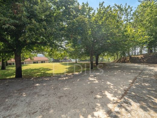 Maison de luxe à vendre à Marco de Canavezes, 1 500 000 €, Photo 5