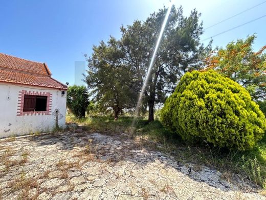 Maison de luxe à vendre à Azambuja, 628 000 €, Photo 6