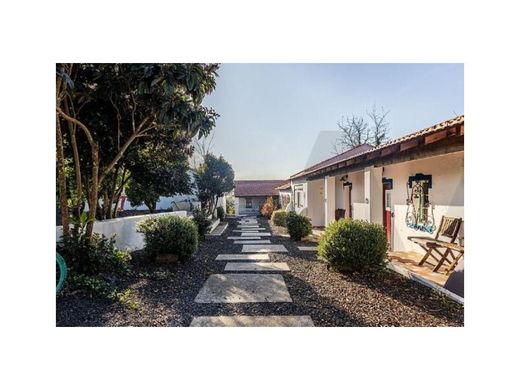 Maison de luxe à vendre à Cartaxo, 798 000 €, Photo 7