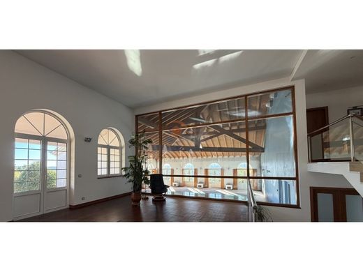 Maison de luxe à vendre à Tomar, 1 220 000 €, Photo 4