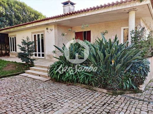 Maison de luxe à vendre à Póvoa de Varzim, 685 000 €, Photo 2