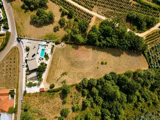 Maison de luxe à vendre à Caldas Da Rainha, 760 000 €, Photo 3
