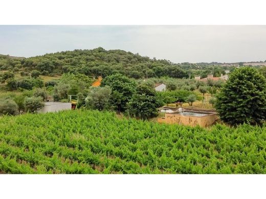 Luxury House for sale in Borba, 498 000 €, Photo 7