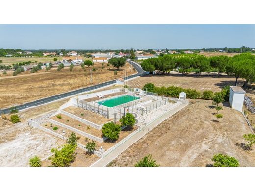 Maison de luxe à vendre à Coruche, 780 000 €, Photo 2