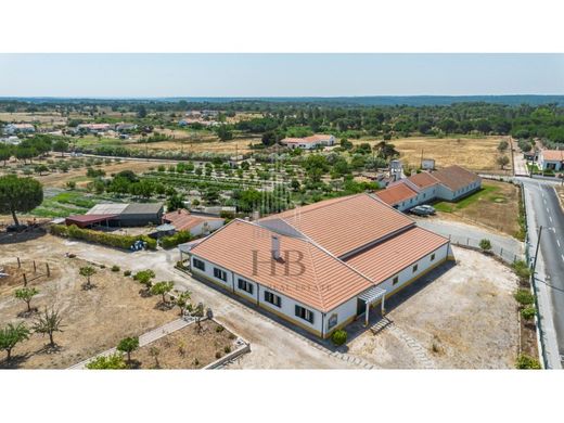 Maison de luxe à vendre à Coruche, 780 000 €, Photo 3
