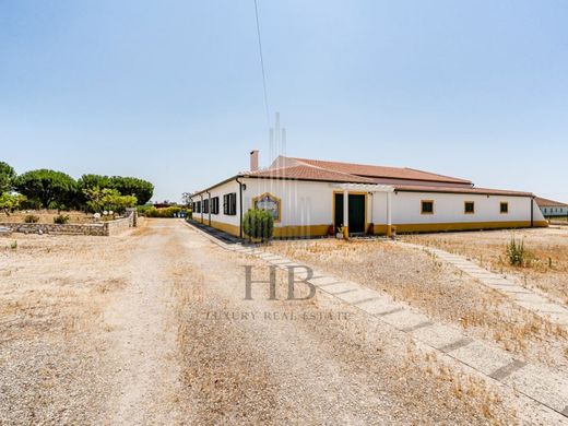 Maison de luxe à vendre à Coruche, 780 000 €, Photo 4