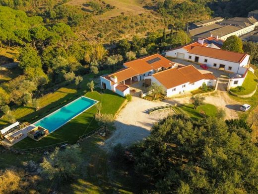Luxury House for sale in Tomar, 2 250 000 €, Photo 3