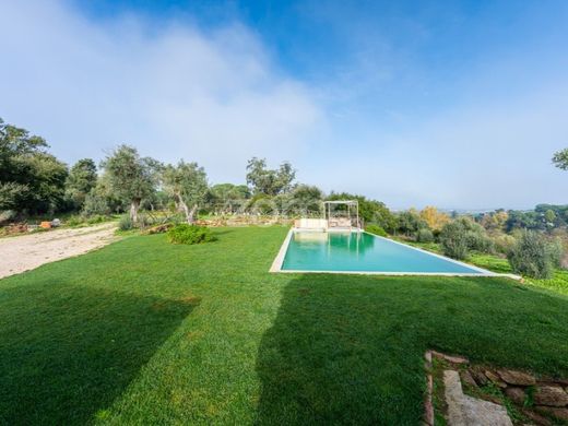 Luxury House for sale in Tomar, 2 250 000 €, Photo 4
