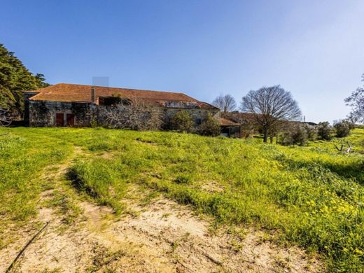 Maison de luxe à vendre à Santarém, 1 300 000 €, Photo 2