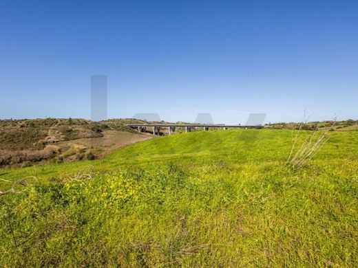 Maison de luxe à vendre à Santarém, 1 300 000 €, Photo 3