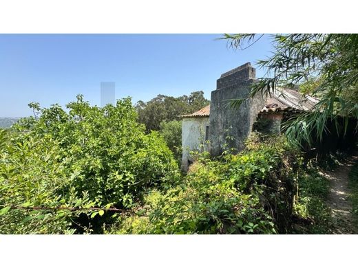 Maison de luxe à vendre à Sintra, 2 175 000 €, Photo 3
