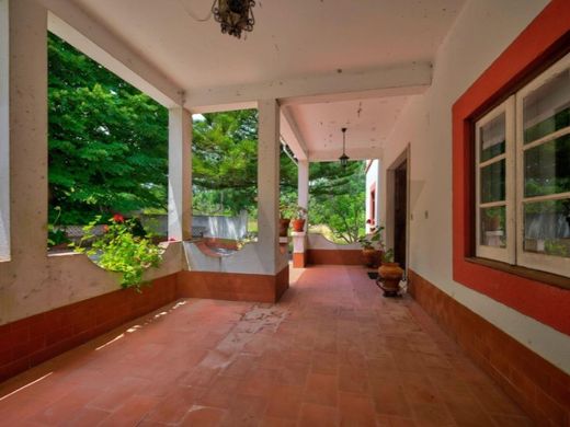 Maison de luxe à vendre à Caldas Da Rainha, 2 000 000 €, Photo 4